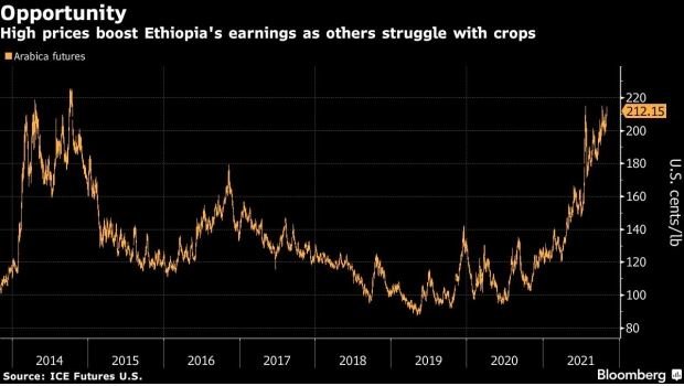 Ethiopia, a source for Mutombo Coffee, are Expecting Another Record Year for Exports - Mutombo Coffee